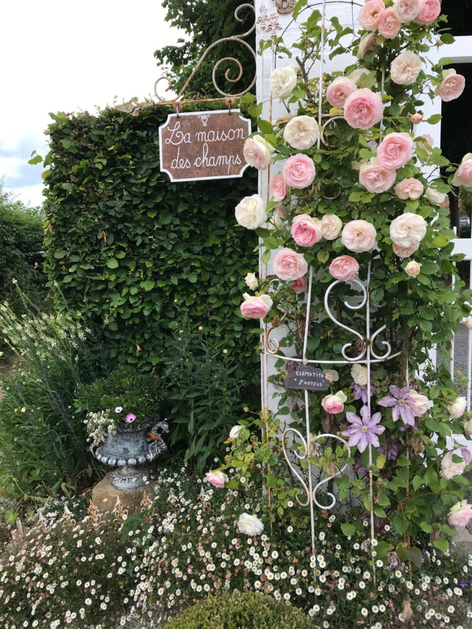 Appartement Avec Jardin 3 Couchages Proche Port Des Fontinettes Arques  Kültér fotó
